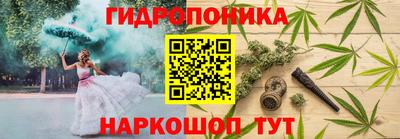 Альфа ПВП Нальчик