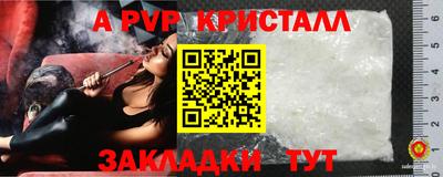 Альфа ПВП Нальчик